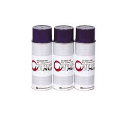 Anti Oxidant Spray Overnight